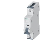 SIEMENS - SIE5SY51027 INT MT 10KA 15KA 1P C2 250VCC