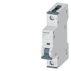 SIEMENS - SIE5SY61027 INT MT 1P C2 ICN 6KA ICU 30KA