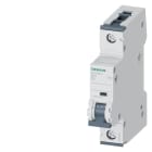 SIEMENS - SIE5SY61067 INT MT 1P C6 ICN 6KA ICU 30KA