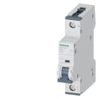 SIEMENS - SIE5SY61257 INT MT 1P C25 ICN 6KA ICU 15KA