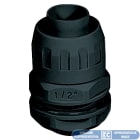 ELETTROCANALI - ETNECGX35-36N RAC. IP65 GUAINA-SCATOLA P. PG 36 NERO