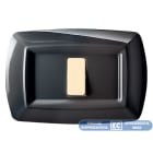 ELETTROCANALI - ETNECL2597N PLACCA TONDO 2 MOD.RAVVICINATI NERO