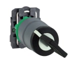 SCHNEIDER ELECTRIC - SNRXB5AG21C0 SELETT. A CHIAVE 2POS. 1NO GHIERA GRIGIA