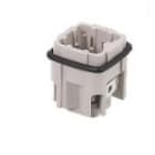 WIELAND ELECTRIC SRL - WIE73.310.0353.0 INSERTO MASCHIO MIN STS 3 2,5 40