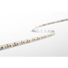 CENTURY ITALIA SRL - CUYAC95-0714427 STRIP LED ACCENTO PRO