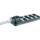 MURRELEKTRONIK SRL - MUE8000885103981500 EXACT12 8XM12 5 POLI CAVO PRESSOFUSO