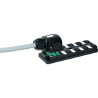 MURRELEKTRONIK SRL - MUE27024 MVP12 8XM12 4 POLI A CABLARE