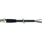 MURRELEKTRONIK SRL - MUE7000080016300500 M8 MAS. 0? CON CAVO