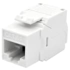 ELCART DISTRIBUTION - ERT401349200 WPC-KEY-6AUP-TL/W PR.KEY CAT6A BI