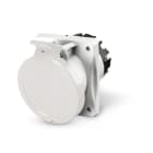 SCAME PARRE SPA - SCA413.63638 PRESA FISSA 2P+T IP44 63A 8h >250V