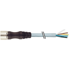 MURRELEKTRONIK SRL - MUE7000232513981500 M23 FEM. 0? 19 POLI CON CAVO