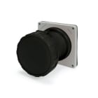 SCAME PARRE SPA - SCASCM5100R5W PRESA FISSA 100A 4P 5W 5H IP67