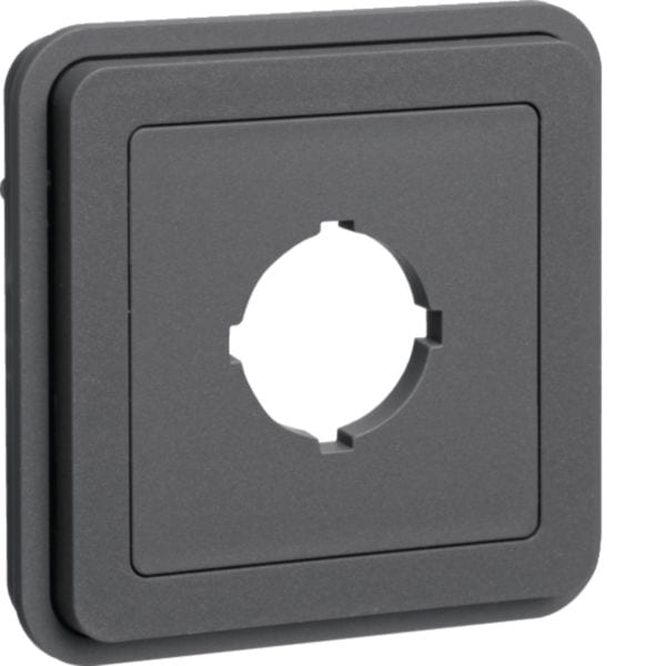 BERKER - BRK42913505 INSERTO FORO X PRESA D 22.5 MM W1 GRIGIO