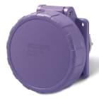 SCAME PARRE SPA - SCA435.1615/R PR.INC.RID<50V 2P 16A 24V IP67