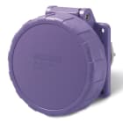 SCAME PARRE SPA - SCA435.1615/R PR.INC.RID<50V 2P 16A 24V IP67