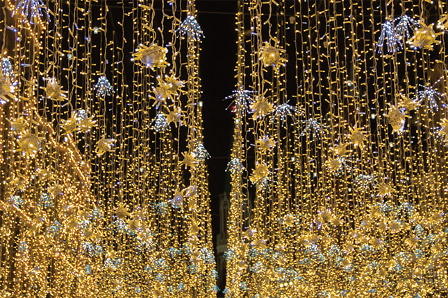 WIMEX - WIM4501128 TENDA 20X50LED WARM 2X5M