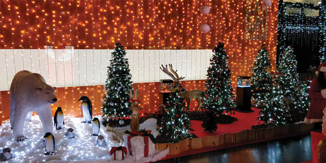 WIMEX - WIM4501928X TENDA 144LED BIANCO FLASH CONN