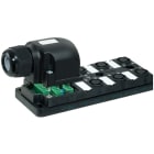 MURRELEKTRONIK SRL - MUE27777 MVP12 6XM12 4 POLI CALOTTA ESTRAIBILE
