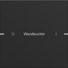 GIRA - GIR5031905 SET BIL. 1-M PERS. SENS.TATT.4.95 ALLUM