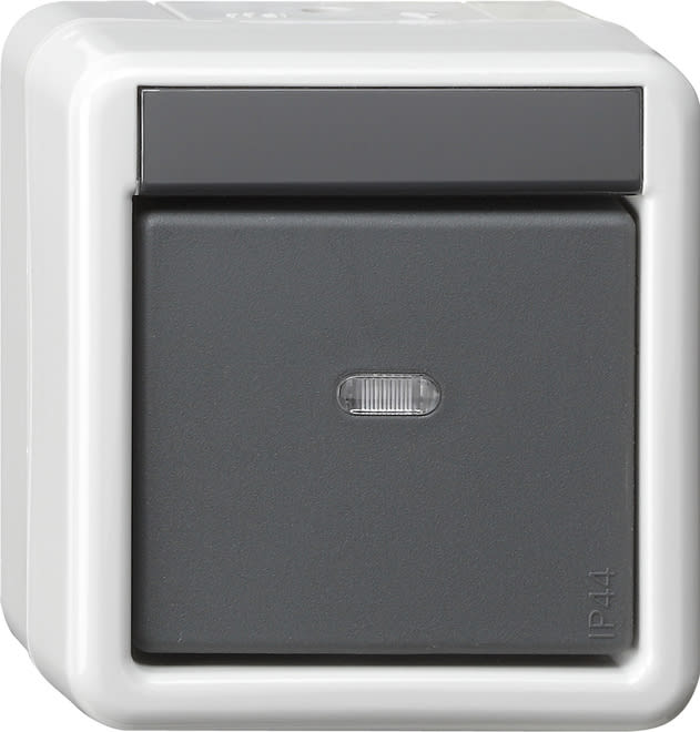 GIRA - GIR515230 AB PULS. 1-C + FIN.CTRL. + 2 PUNTI KNX