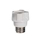 WIMEX - WIM5250601 C 01 COPERCHI