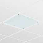 SIGNIFY ITALY SPA - PHA07284400 Cleanroom LED CR250B, 40 W, 600x600 mm, 3500 lm, 4000 K, DALI, IP65