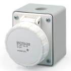 SCAME PARRE SPA - SCA535.3211 PRESA PAR.<50V 2P 32A 12H IP67