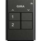 GIRA - GIR535210 TRASM.MAN. RF 2-M