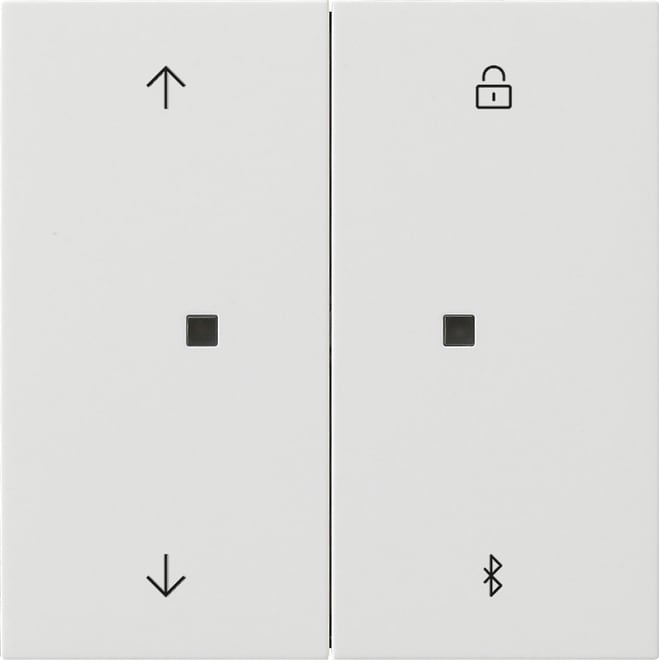 GIRA - GIR5367112 TIM.VEN./TIM. S3000 BT FRECCE GIRA F100