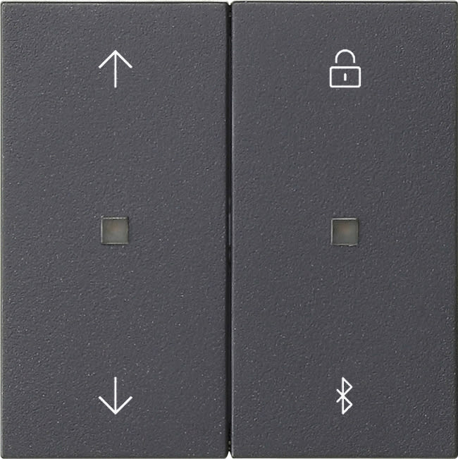 GIRA - GIR536728 TIM.VEN./TIM. S3000 BT FRECCE SYSTEM 55