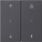 GIRA - GIR536728 TIM.VEN./LUCI S3000 BT FRECCE