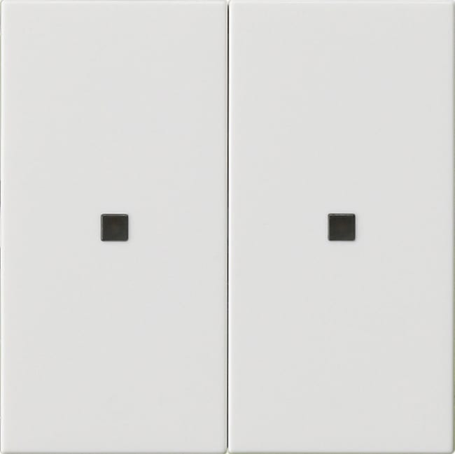 GIRA - GIR536903 BIL. 2M NON STAMPATO FIN.CTRL. SYSTEM 55