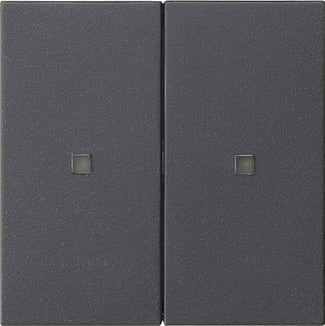 GIRA - GGI536928 BIL. 2M NON STAMPATO FIN.CTRL. SYSTEM 55