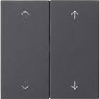 GIRA - GIR538728 bil. 2m frecce System 55 antracite