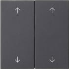 GIRA - GGI538728 BIL. 2M FRECCE SYSTEM 55 ANTRACITE