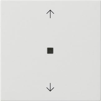 GIRA - GIR538803 BIL. 1M FRECCE FIN.CTRL. SYSTEM 55 BNC P