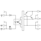 PHOENIX CONTACT - PHC2902972 PLC-OPT- 24DC/ 5DC/100KHZ-G RELE SOLIDO