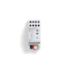 GIRA - GGI543000 ATT.DIM.RAD. 1-C AMG