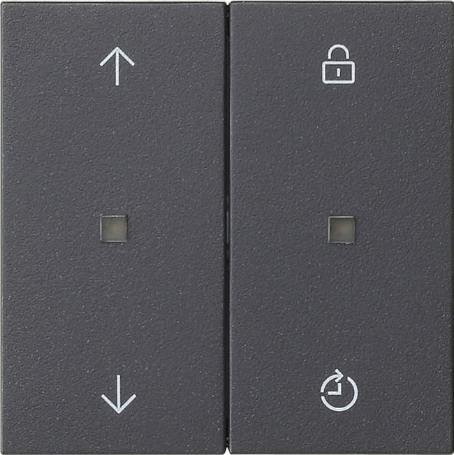 GIRA - GGI549228 PANN.COM.RAD. GIRA ENET MEMORY FRECCE