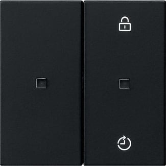 GIRA - GGI5493005 PANN.COM. RADIO GIRA ENET MEMORY SYSTEM