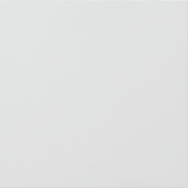 GIRA - GIR5554902 PANN.FRONT. MOD.INFORMATIVO/CIECO