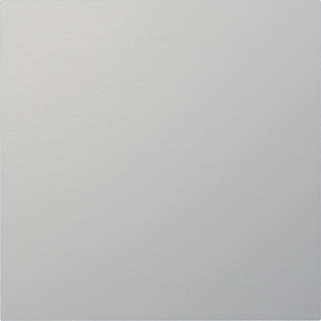 GIRA - GIR5554926 P.FRONT. MOD.INFORMATIVO/CIECO