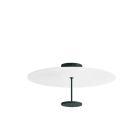 LINEA LIGHT (ILED) - ILDCA084DGBWDI STILO PLAF. M. GREEN BLUE 3000K PH