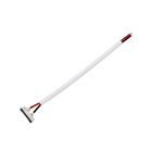 BEGHELLI - BEG56621 CONN STRIP TO DRIVER 5PZ