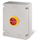 SCAME PARRE SPA - SCA590.EM6306 INT. DI MANOVRA/SEZ. 63A 6P IP66/69