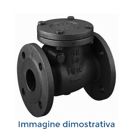 DAB PUMPS SPA - DAB60160627 VALVOLA DI RITEGNO A PALLA 2 DAB