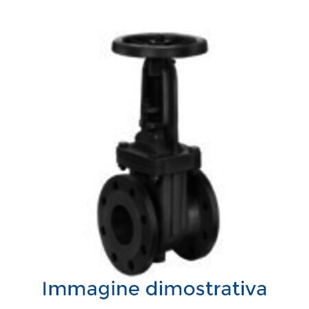 DAB PUMPS SPA - DAB60163811 VALVOLA A SARACINESCA CORPO PIATTO DN 50