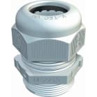 OBO BETTERMANN - OBO2022862 V-TEC VM12 LGR PRESSACAVO