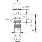 OBO BETTERMANN - OBO2085739 VTEC L PG9 MS PRESSACAVO