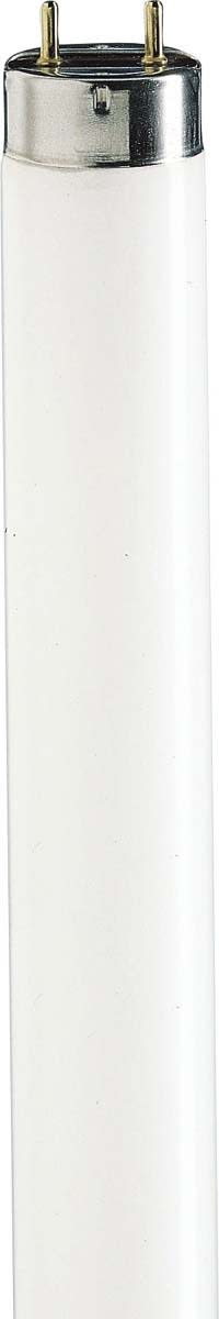 SIGNIFY ITALY SPA - PHL3679 MASTER TL-D FOOD 36W/79 SLV/25